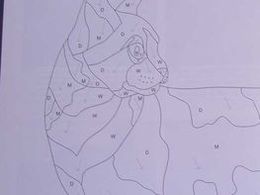 picture 1