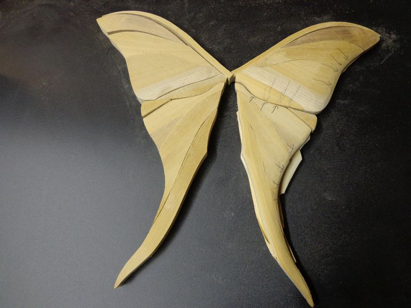 moth8
