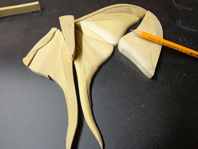moth13