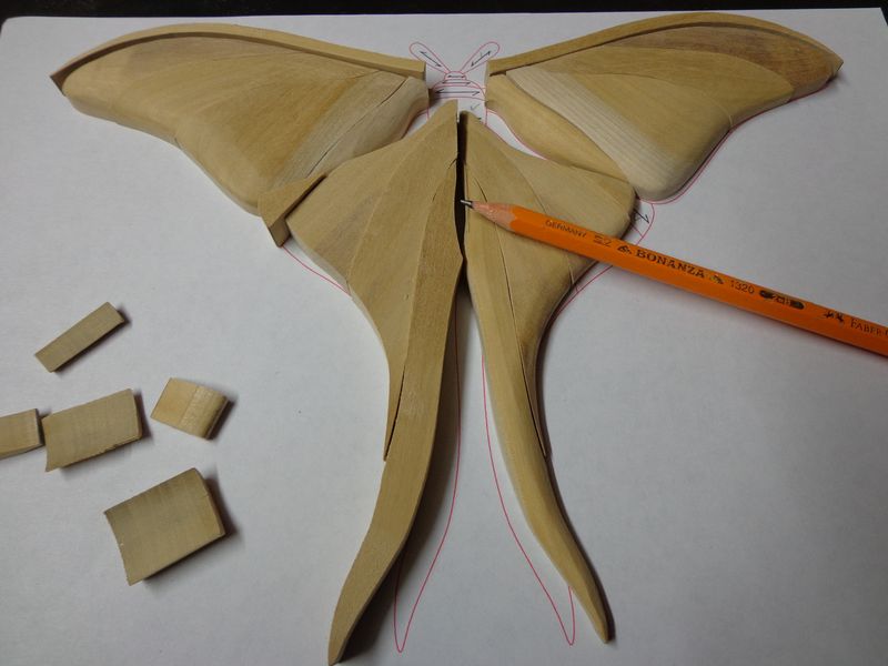 moth14