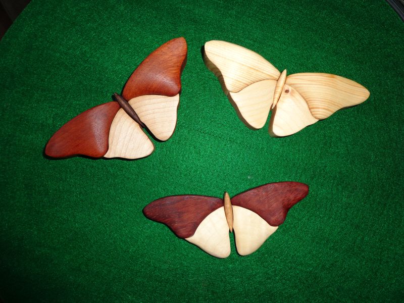 moth23